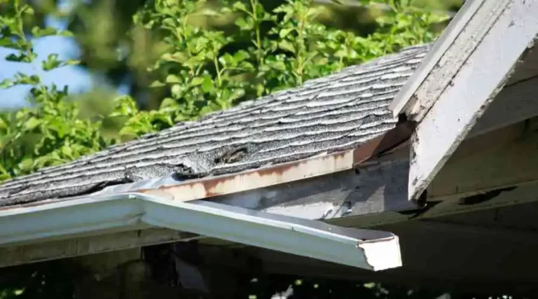 What Damages Your Roof?